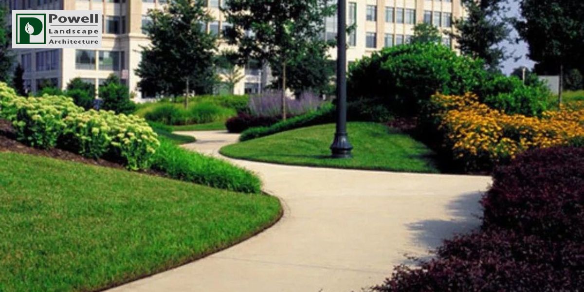 The Essentials of Commercial Landscaping in Austin
