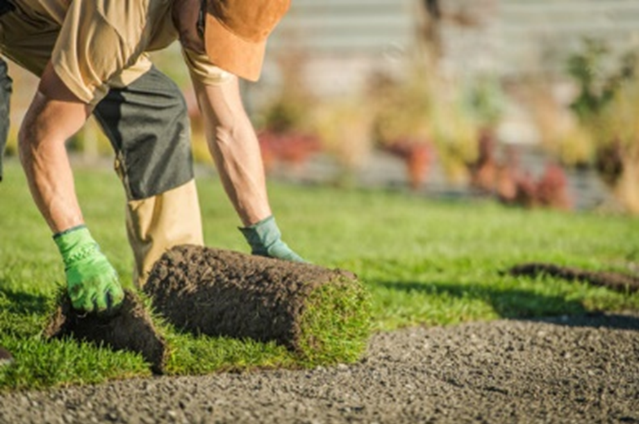 Affordable SOD Installers in Austin | Powell Landscape Design