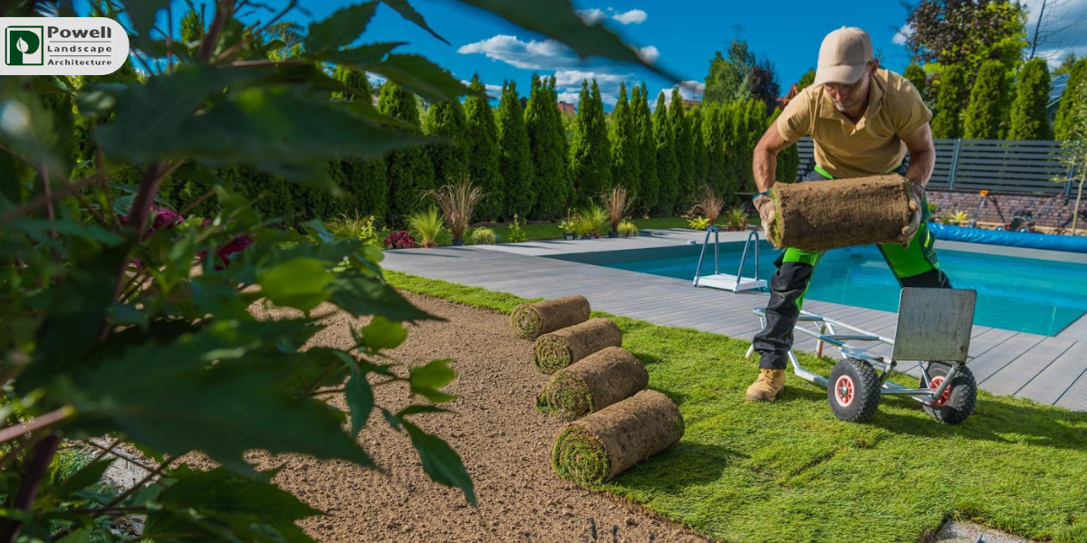 Grass Greener on Your Side? It Will Be with Wimberley’s Best Landscapers!