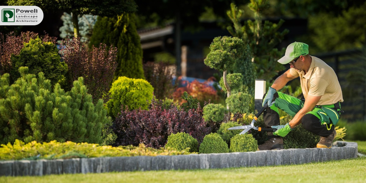 Transform Your Yard, Transform Your Life — Elite Landscape Gardening in Austin