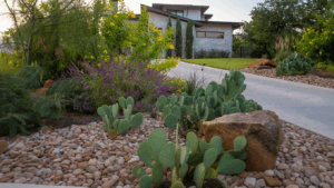 Landscape Design Austin
